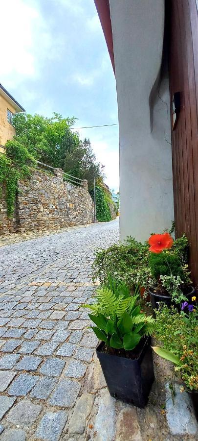 Penzion Merlin Český Krumlov Exteriör bild
