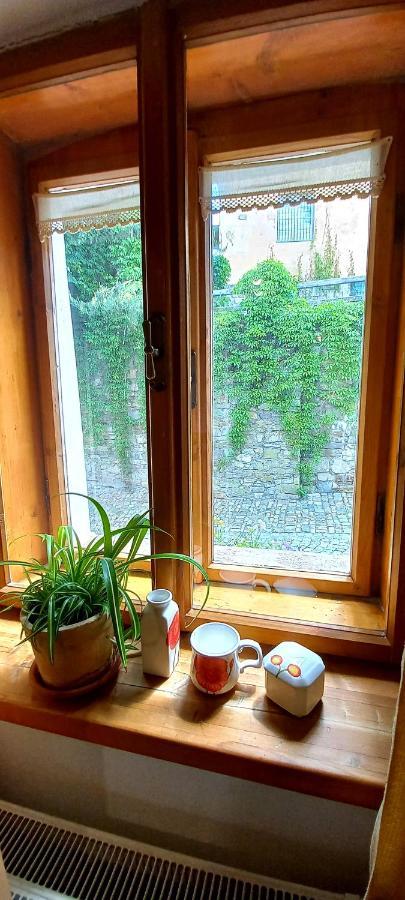 Penzion Merlin Český Krumlov Exteriör bild